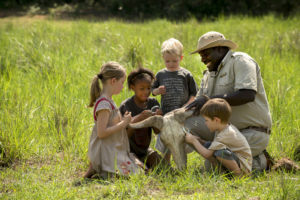 phinda family safari