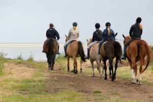 phinda horse riding