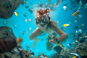 phinda ocean safari